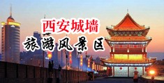 操国外女人的逼中国陕西-西安城墙旅游风景区