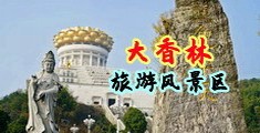 大鸡巴大鸡巴艹中国浙江-绍兴大香林旅游风景区